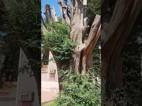 #plaza Carpintería #sanluis #motoviajeros #sierras