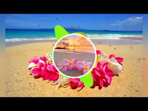 Sele Local String Band _ Saratokora 🔥🇻🇺