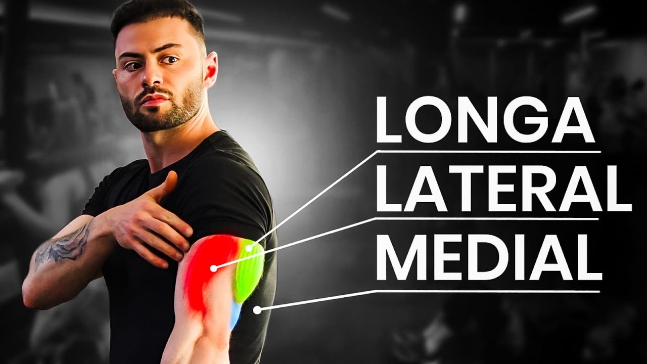 O TREINO DE TRÍCEPS PERFEITO | TREINO COMPLETO