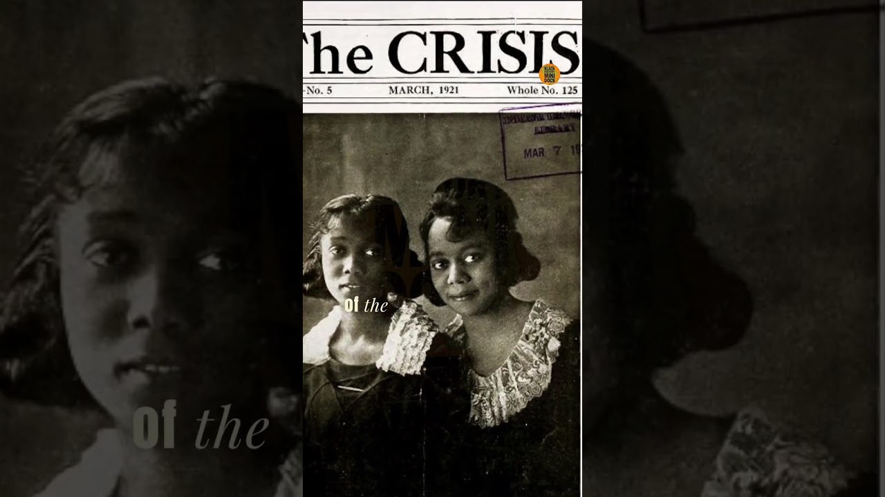 📚 A Voice of Identity | Jessie Redmon Fauset | BHMD Micro Docs📚 | Black History Mini Docs