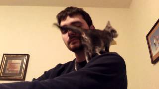 Message sober 46 days