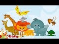Wild Animal Sounds And Names For Kids Toddlers     BabyTV