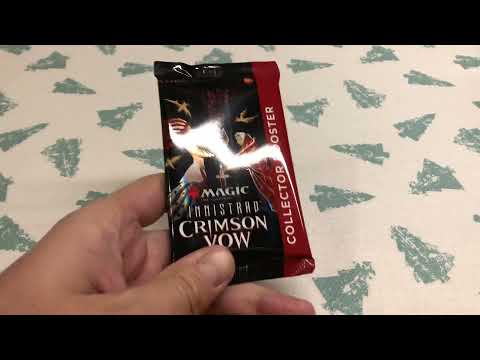 Ein kleines Schmuckstück - Daily Booster 16 (Innistrad Crimson Vow - Collector Booster [7])
