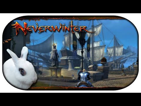 NEVERWINTER: Paladin-LP 🐇 173 - Wachposten und Ausgrabungsstätten