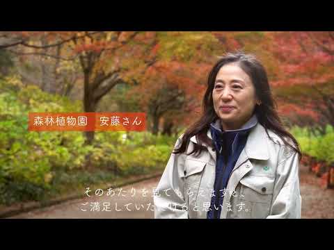 森林植物園の紅葉を北区の空から眺めてみたら～NORTH by NORTH KOBE vol.3～