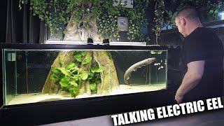 Fish can TALK! this is how to listen to them!