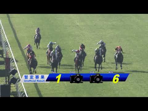 2023-01-23 Race 4(0116) - THE KWEICHOW (Div 1)
