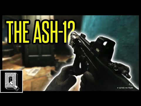 THE ASH-12! THE FUNNEST GUN I'VE EVER USED!!! - Escape From Tarkov PVP Gameplay Highlights