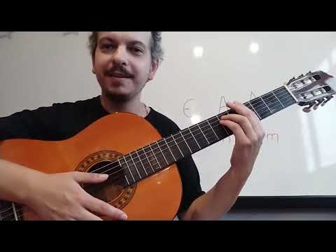 Girassóis - Cidadão Quem