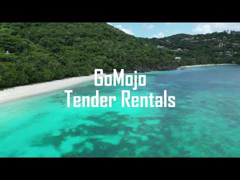 GoMojo Tender Rentals St. Thomas USVI