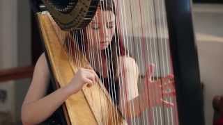 J.S. Bach - Toccata and Fugue in D Minor BWV 565 // Amy Turk, Harp