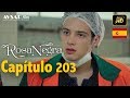 Rosa Negra Capítulo 203 HD En Español