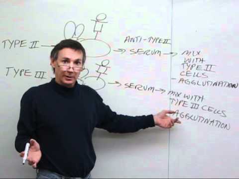 Griffith's transformation experiment