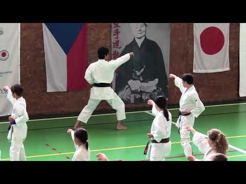 Naka Sensei, JKA Gasshuku Czech Republic, Prachatice 2019