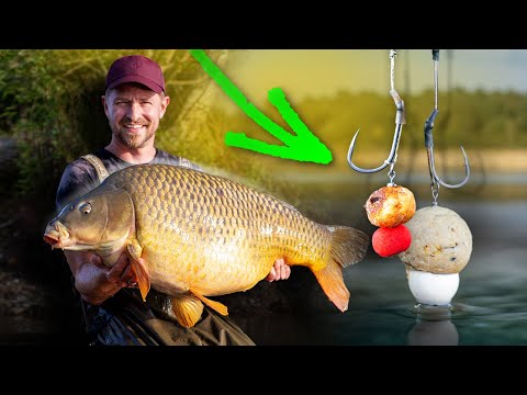 Köder kombinieren: Karpfenangeln mit Boilies & Tigernüssen | MINI-MASTERCLASS