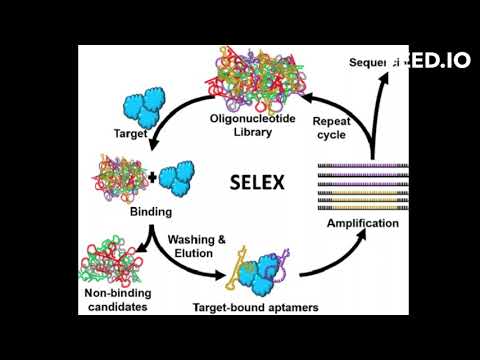 what is SELEX technique