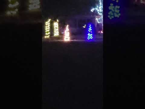 LOLOL Lots Of Lights On Lutz - Last Christmas