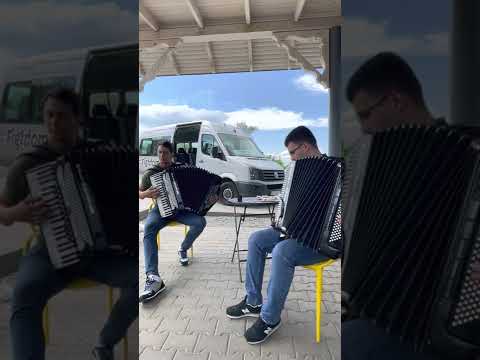 Flavius Niculcea și Andrei Bârsan- Instrumental Pregătește-te / Weltmeister Supita