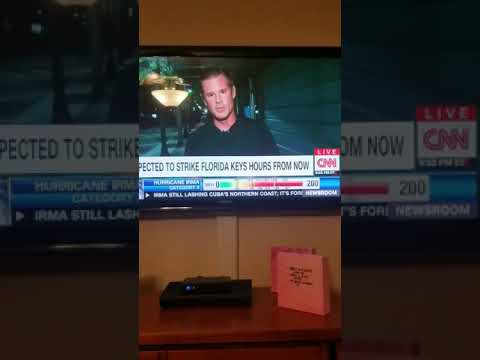 Fuck her right in the pussy