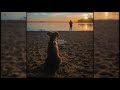 Kygo Ledinsky Teddy Demo Unreleased