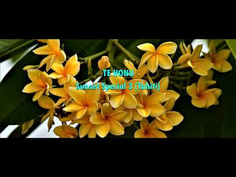 Sunset Special - Te Honu - Cook Islands Music