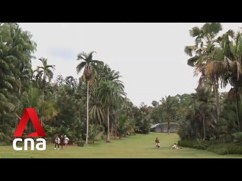 Singapore Botanic Gardens: A look at Singapore's first UNESCO World Heritage Site