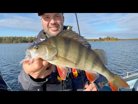 Uutuusvieheiden testausta merellä - Jasu Suvas - Jasu Vehje - Mukana menossa Rannisto ja Tuiskunen