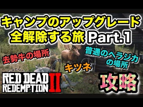 園芸 白い縞模様のダッチパイプ、ウマノスズクサ