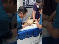 One Yearly Vaccination 🫵 Cat Cats Catvideos Animals Catshorts Funny