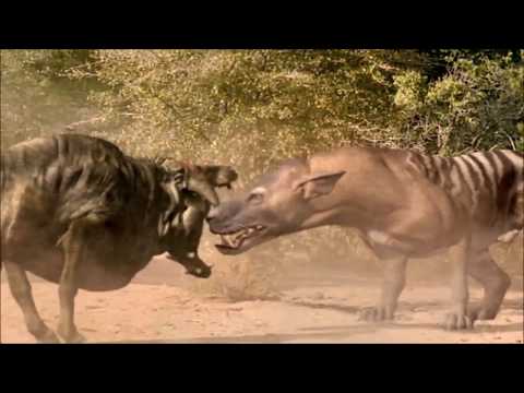 Walking with Beasts - Hyaenodon