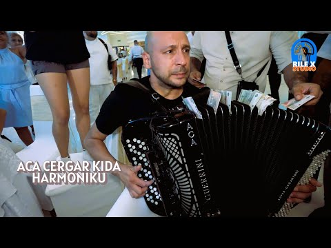 ACA CERGAR KIDA HARMONIKU I ALEKSANDRA RISTANOVIC NA 18. RODJENDANU KOD STRAHINJE I STEFANA MIX LIVE