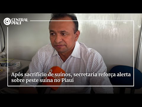 Após sacrifício de suínos, secretaria reforça alerta sobre peste suína no Piauí