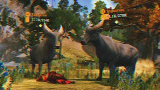 The Wolf - Big Animals Quests Today 😬🏆