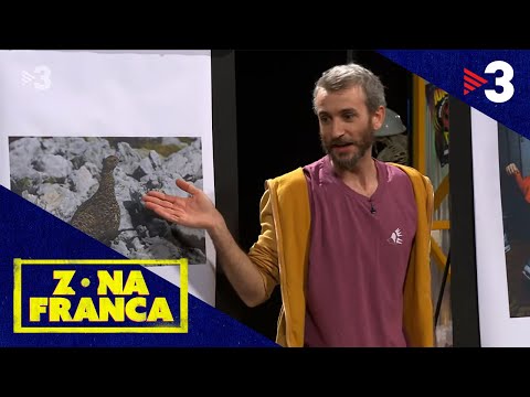 Les tècniques de mimetisme i camuflatge amb en Godai Garcia - Zona Franca