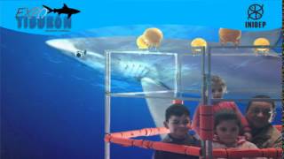 DIA 2 Expo Tiburon81