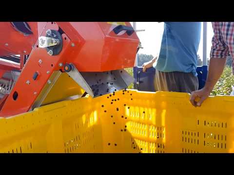 chokeberry Aronia harvester - ARONIC berry harvester