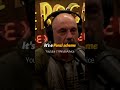 Dave Smith speaks on Useless Degrees and Student Debt  #shorts #joerogan #short #jre #davesmith