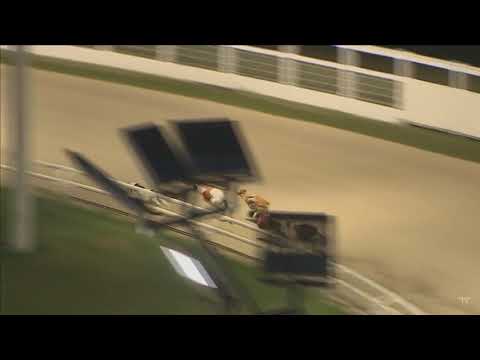 Holy Water Wins Towcester Race 10 on 9th June 2018 Watch Now!!! (Official Video)