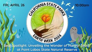 EARTH WEEK: Seal Spotlight: Unveiling the Wonder of Harbor Seals at Point Lobos State Reserve