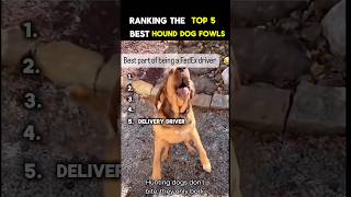 Ranking the Too 5 best Hound Dog Moments #shorts