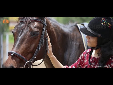 download lagu mp3 mp4 Learn Horse Riding In Pune, download lagu Learn Horse Riding In Pune gratis, unduh video klip Learn Horse Riding In Pune