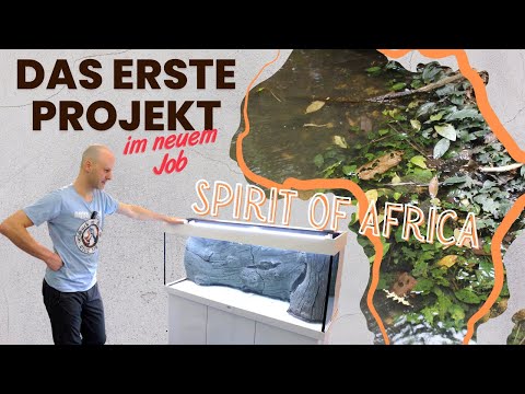 Das erste gemeinsame Projekt in Erfurt | Spirit of Africa | Afrika Biotop Aquarium