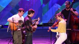 Mipso - Water Runs Red