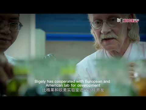 Guangdong Bigely Technology Co.,Ltd introdution