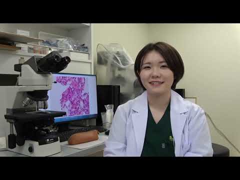 からだの中の白血球を研究する推しごと