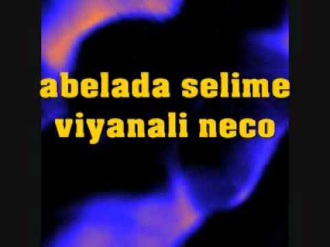 roman havasi abelada selime viyanali neco