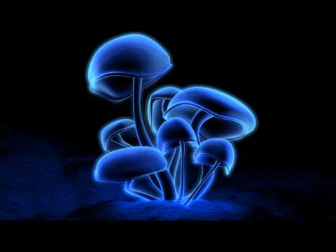 Junkie XL - Mushroom [HD]