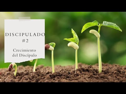 Discipulado #2 Crecimiento del Discípulo