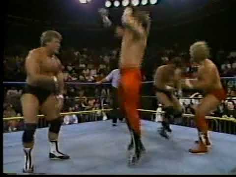 Paul Roma and Paul Orndorff vs Terry Taylor and Erik Watts