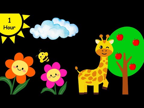 Baby Sensory Videos For Babies to Watch | Nature Sensory | Baby Stimulation Video #baby #babysensory